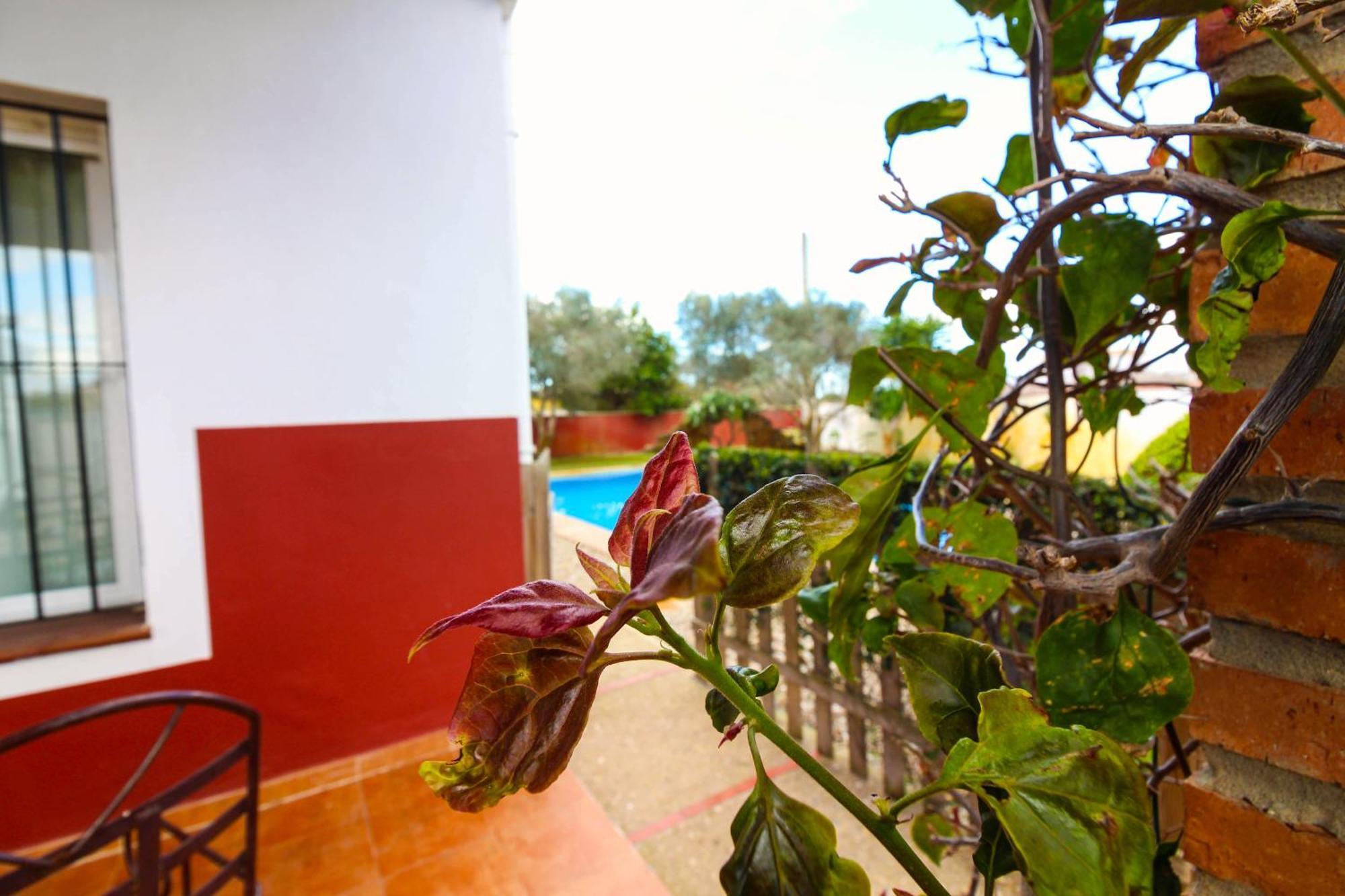 Los Candiles Conil de la Frontera Kültér fotó